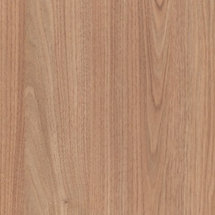 Tasmanian Oak - P7